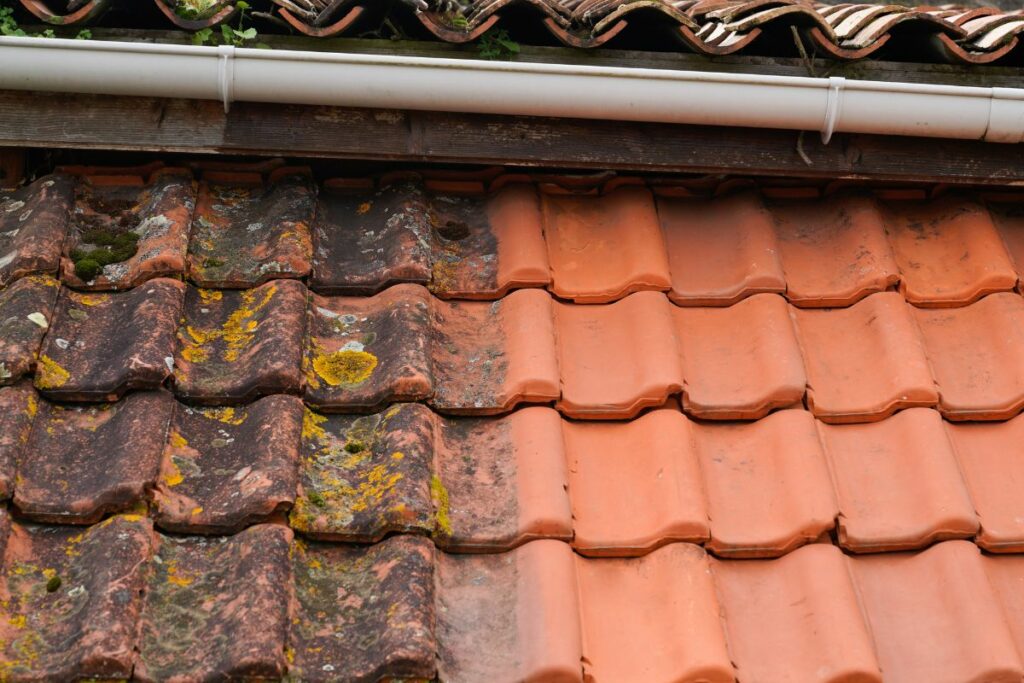 Entretien et nettoyage de toiture Albi Tarn Pourquoi est ce important